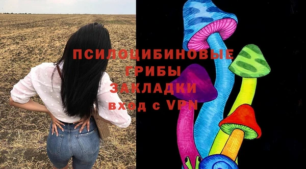 синтетический гашиш Няндома